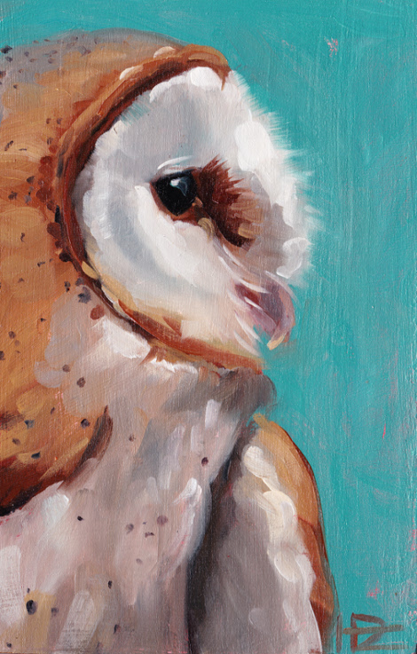 barn owl 1web