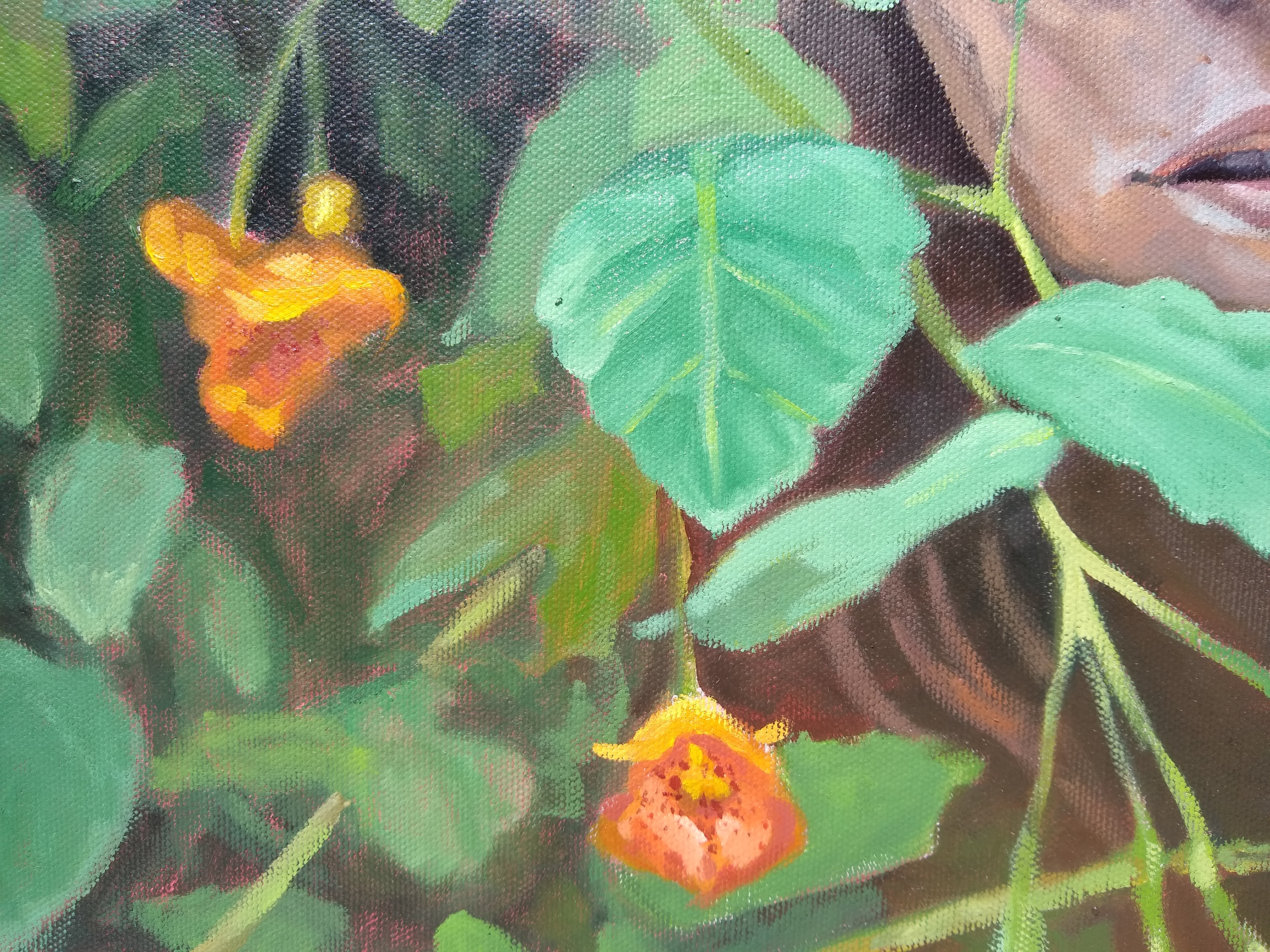 close up flower jewelweed